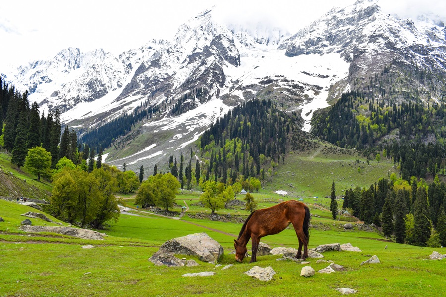 Pahalgam, Kashmir