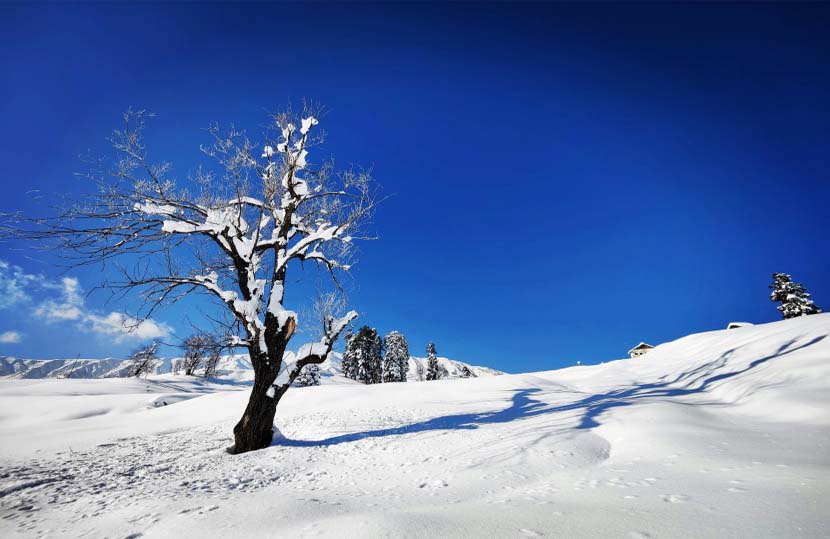 Gulmarg