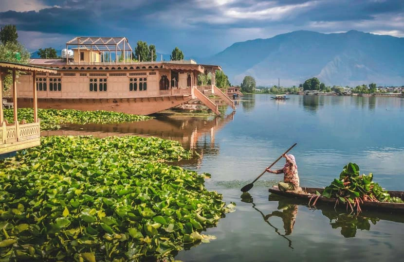 Srinagar